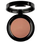 PIERRE RENE_Professional Rouge Powder Blush 07 6g