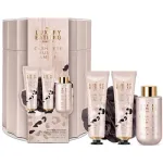 Grace Cole Cashmere Body & Hand Care Box (ka&scaron;miir, muskus ja ambra) &ndash; kinkekomplekt plekkkarbis (4 tk)