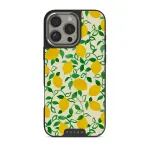 Capri - iPhone 16 Pro Case, Elite Dark (MagSafe) / Silver