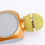 WS-1816 16W karaoke BT microphone with LED 360 Gold