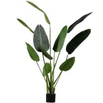 Kunsttaim Strelitzia, 164 x 96 x 63 cm, roheline