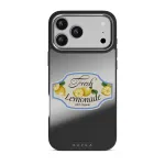 Frizzante - iPhone 17 Pro Max Case, Elite Mirror Dark (MagSafe) / Silver