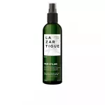 HAIR STYLING detangling and protective treatment with ginger and magnolia extracts 250 ml