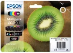 Multipack 202XL Color