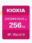 SDXC 256 GB, klass 10, LNPL2M256GG4