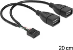 "Delock USB-kaabel pistikupesaga > 2 x USB 2.0 Type A pesa, 20 cm"