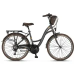UMIT Valencia 26" // suurus 21G 17" (43 cm) (hall)