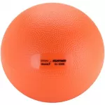 Raskendatud pall Heavymed 5 kg