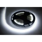 Rebel LED-lint, 25 m, 12 V, 6500 K, k&uuml;lmvalge
