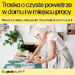 HP nr 913 must