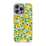 Capri - iPhone 16 Pro Case, Elite Light (MagSafe) / Silver