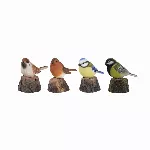 Interaktiivne aiakaunistus "Birdie"