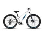 Dviratis 24" POLYGON CASCADE 24 WHITE