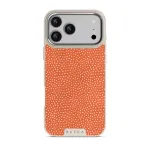 Vintage Edition - Spots iPhone 17 Pro Max Case, Elite Light (MagSafe) / Silver