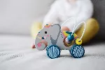 Push-Along Animal with Bead Maze "Jungle"