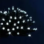 14071920 48 LED 3.5m