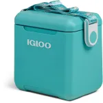 K&uuml;lmik &bdquo;IGLOO Tag Along Too Remix&ldquo; (10 liitrit)   &uuml;hes suuruses