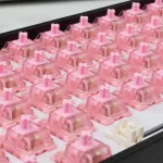 Roserift Mechanical Switches 65 pcs.