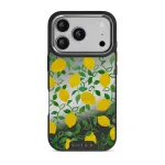 Capri - iPhone 17 Pro Case, Elite Mirror Dark (MagSafe) / Silver