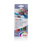 PENTEL ARTS v&auml;rvilised pliiatsid, kuusnurksed, akvarellpliiatsid, 12 tk, tk.