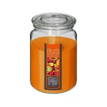 Scented candle Exotic fruits, 510g