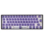 Purplepulse Mechanical Switches 65 pcs.