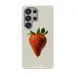 Juicy - Samsung Galaxy S25 Ultra Case, Elite Light (Magnetic) / Silver
