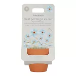 Little Dutch taimede lillepott Forget Me Not