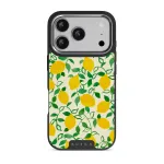 Capri - iPhone 17 Pro Case, Elite Dark (MagSafe) / Silver
