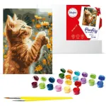 Painting by numbers kit Rudy Fluffy KHO6607 30x40 AP0013