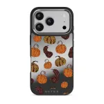 Pumpkin Season - iPhone 17 Pro Case, Elite Mirror Dark (MagSafe) / Silver