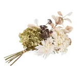 Hortensia kimp