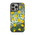 Capri - iPhone 16 Pro Max Case, Elite Mirror Dark (MagSafe) / Silver