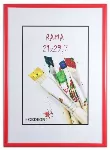 Raam GED 21x30 plastist EASY punane | 8mm