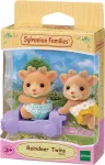 &bdquo;Sylvanian Families&ldquo; &ndash; p&otilde;hjap&otilde;dra kaksikud