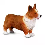 COLLECTA Welsh corgi, (M), 88082