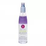 Berrywell, Pflegewunder 2-Phases, Hair Dry Conditioner, For All Hair Types, 250 ml *Tester