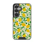 Capri - Samsung Galaxy S25 Case, Elite Dark (Magnetic) / Silver