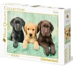 Clementoni 39279.7 Clementoni-39279-High Quality Collection-Three Labs-1000 Pieces, Multicolored