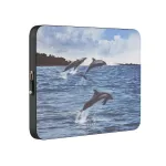 Retro Splash - Laptop Sleeve, 13 inches