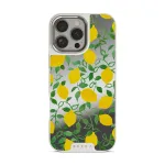 Capri - iPhone 16 Pro Case, Elite Mirror Light (MagSafe) / Silver