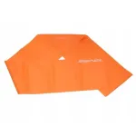 Fitness & TRiks Rubber training band