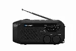 "Blaupunkt" ER10