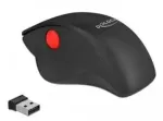 "Delock Ergonoomiline USB hiir - juhtmeta"