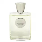Giardino Benessere Woodstock Patchouli Eau De Parfum 100 ml (unisex)