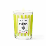 &bdquo;Acqua Di Parma&ldquo; &bdquo;Ulivo&ldquo; l&otilde;hnak&uuml;&uuml;nal, 200 g