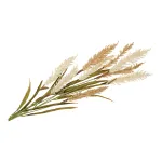 Decorative Grass
