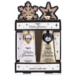 Accentra Winter Glamour k&auml;tehoolduskomplekt &ndash; k&auml;tehoolduse kinkekomplekt koos k&uuml;&uuml;neviiliga