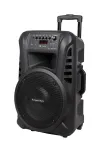 Active Speaker Cabinet (with 2 wireless microphones UHF, SD, Bluetooth, FM, USB) 40 Watt