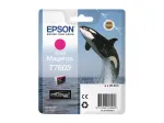 Epson T7603 tint, Vivid Magenta | Epson